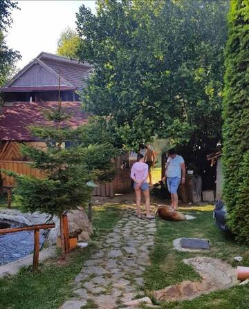 Фото номера Коттедж с 6 спальнями Дома для отпуска Cabana Sebes г. Фэгэраш 37